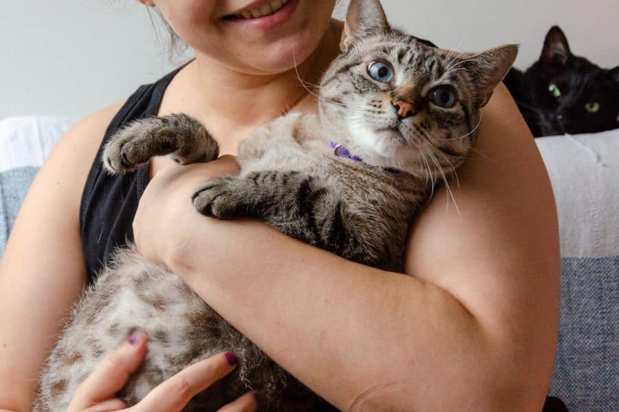 woman smiling and holding cat inside after adopting from a shelter