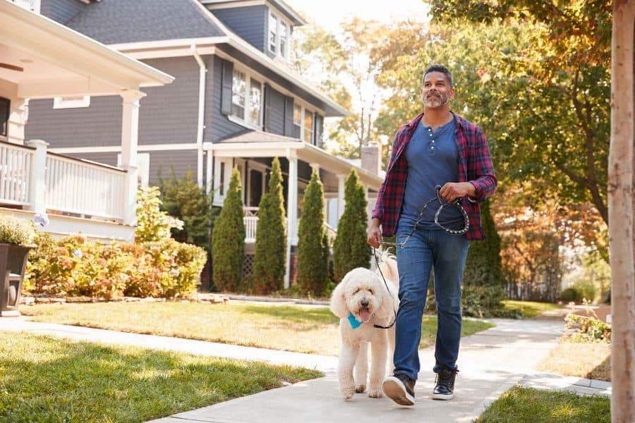 Dog Walking vs Dog Daycare in Las Vegas and Henderson