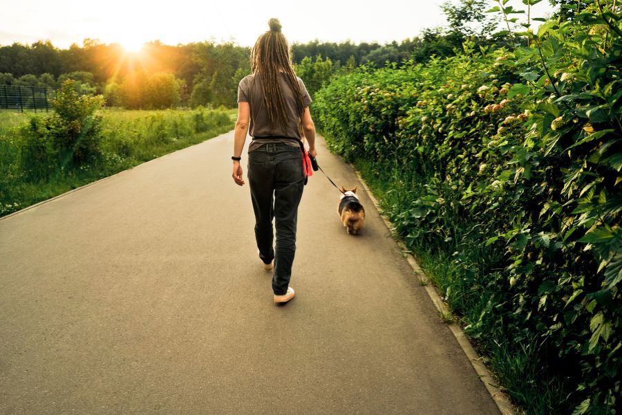 Pet-Friendly Home Tips for a Safe and Happy Environment