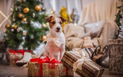 Avoiding Common Holiday Hazards for Pets in Las Vegas Homes