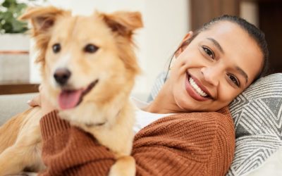 10 Essential Pet Care Tips Every Pet Owner Should Know